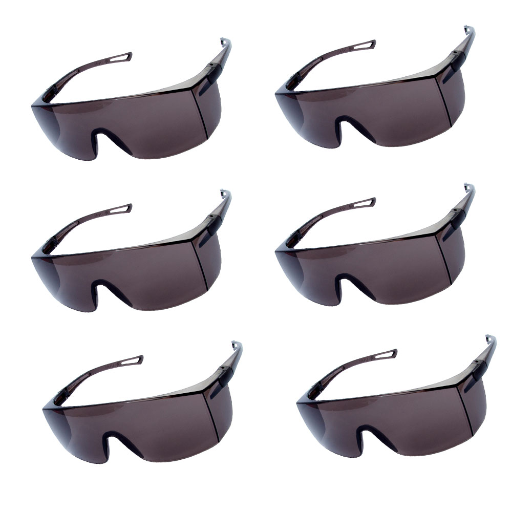 Kit 6 unidades Óculos de Proteção UV Delta Plus Sky Fume - EPI  - Outros